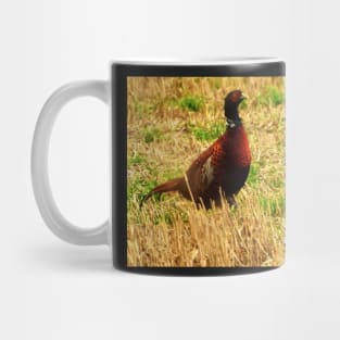 Pheasant, Scotland Mug